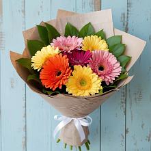 Букет цветов из:  Герберы #REPLACE_PRED# Лесные Поляны
