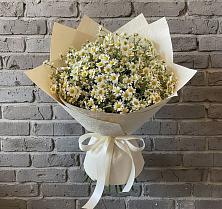 Букет цветов из:  Ромашки в Лесные Поляны