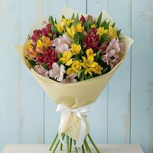 Букет цветов из:  Альстромерии в Лесные Поляны
