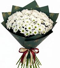 Букет цветов из:  Хризантемы в Лесные Поляны